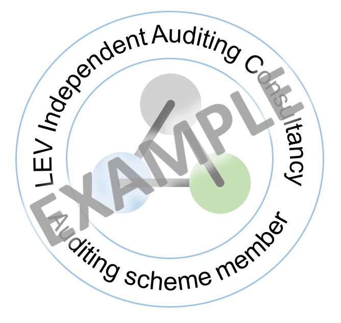 Bronze Report Auditing (up to 5 reports)